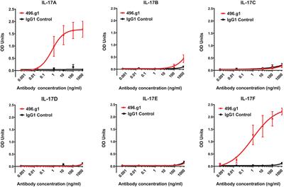 Bimekizumab, a Novel Humanized IgG1 Antibody That Neutralizes Both IL-17A and IL-17F